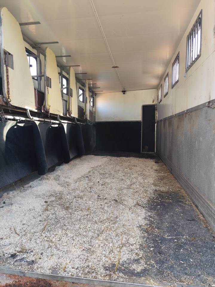 Camion chevaux 7 places 