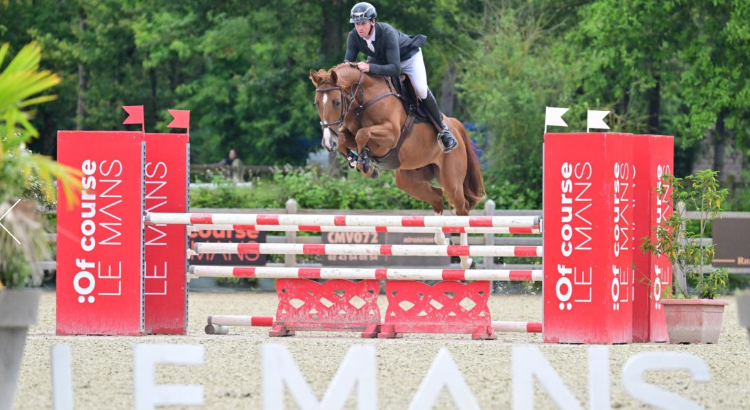 HONGRE DE 6 ANS - EXCELLENT SAUTEUR