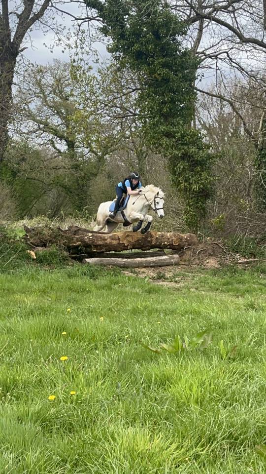 PONEY PP CO - CCE 