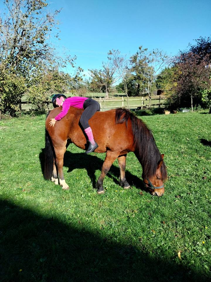 Poney Pottok 6 ans