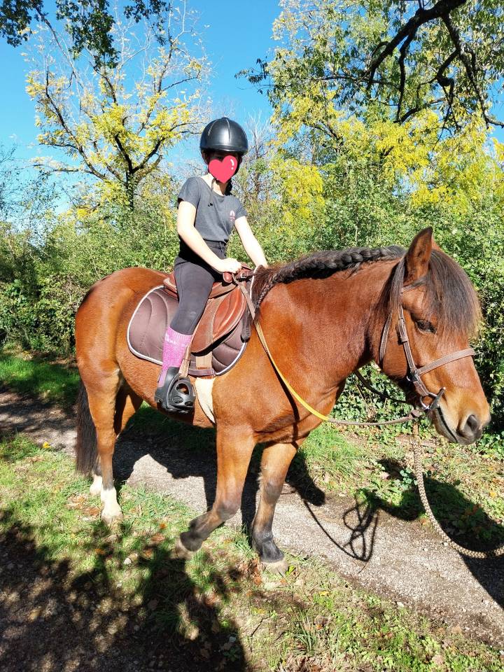 Poney Pottok 6 ans