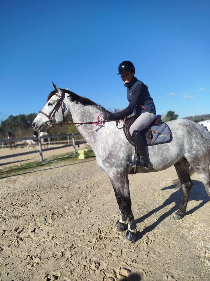 Hongre 6ans class&eacute; 125