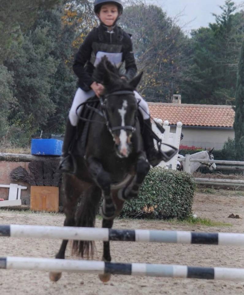 Ponette C Fran&ccedil;ais De Selle 