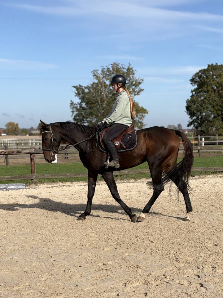 Super cheval 