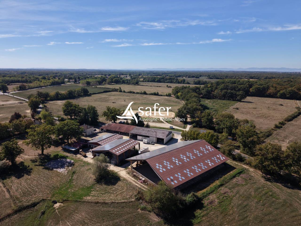 1038647_1793331021_6825.jpg