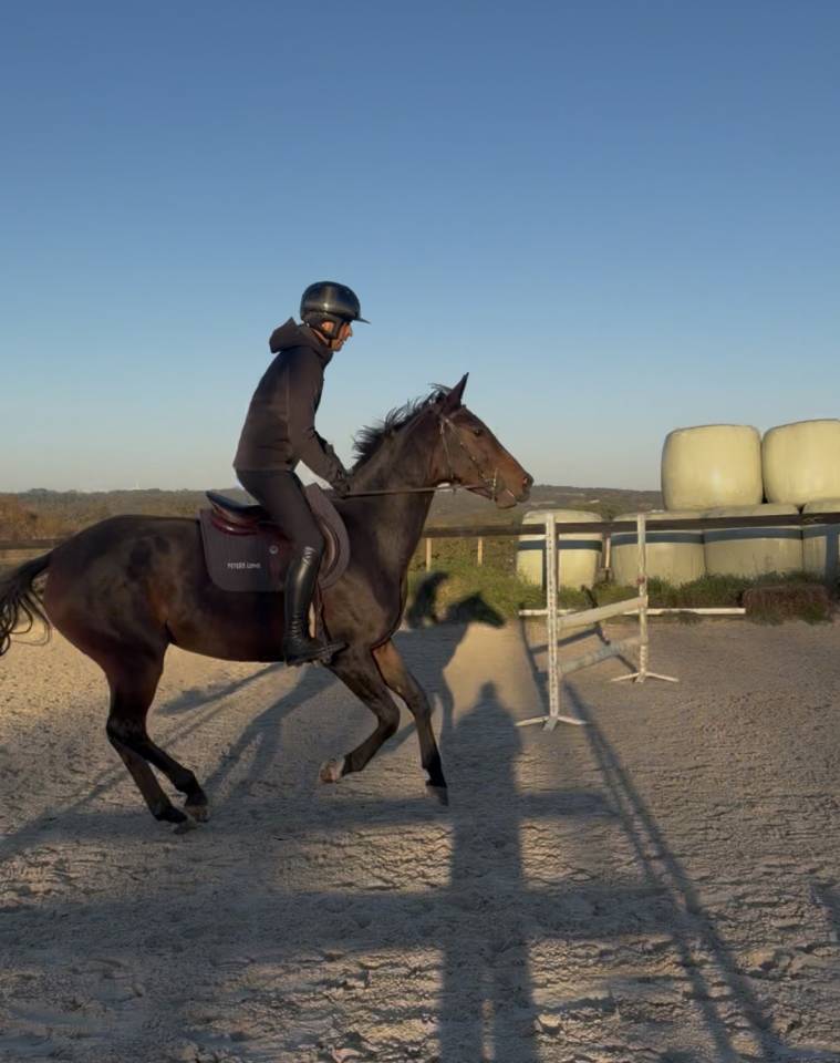 Jument 4ans selle fran&ccedil;ais