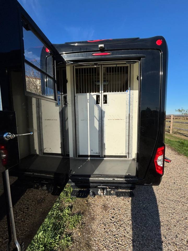 Renault Master STX 2020 &mdash; 2 chevaux &mdash; 5 places 170CV