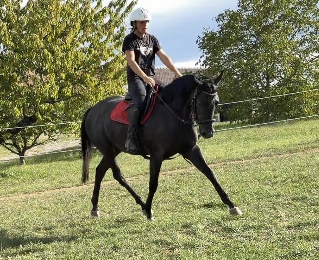 Ponette 1m49 3 ans pp