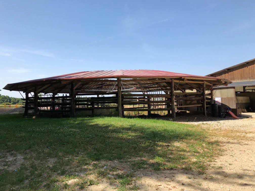 Pension pour chevaux dans le JURA à Balaiseaux