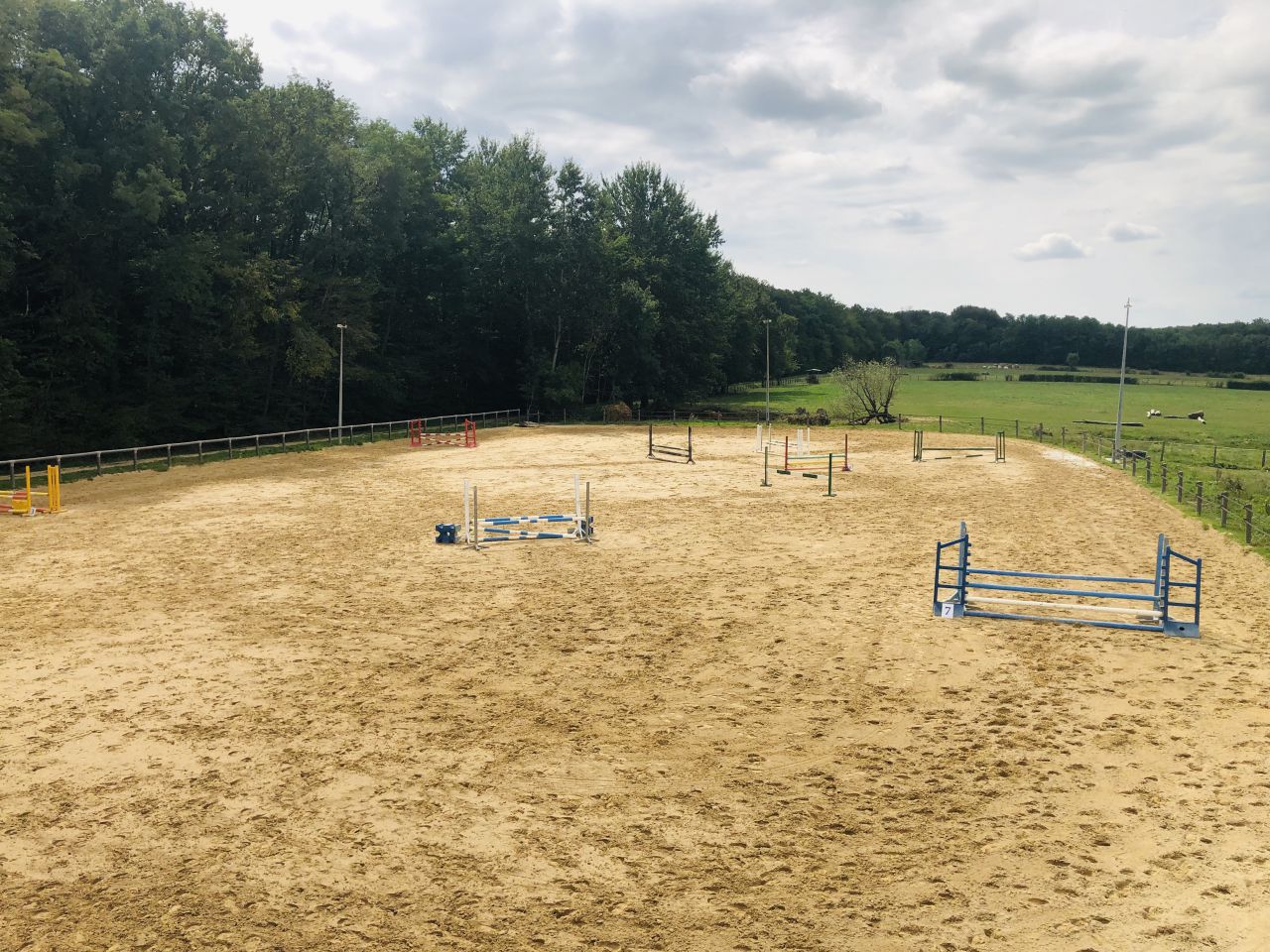 Pension pour chevaux dans le JURA à Balaiseaux