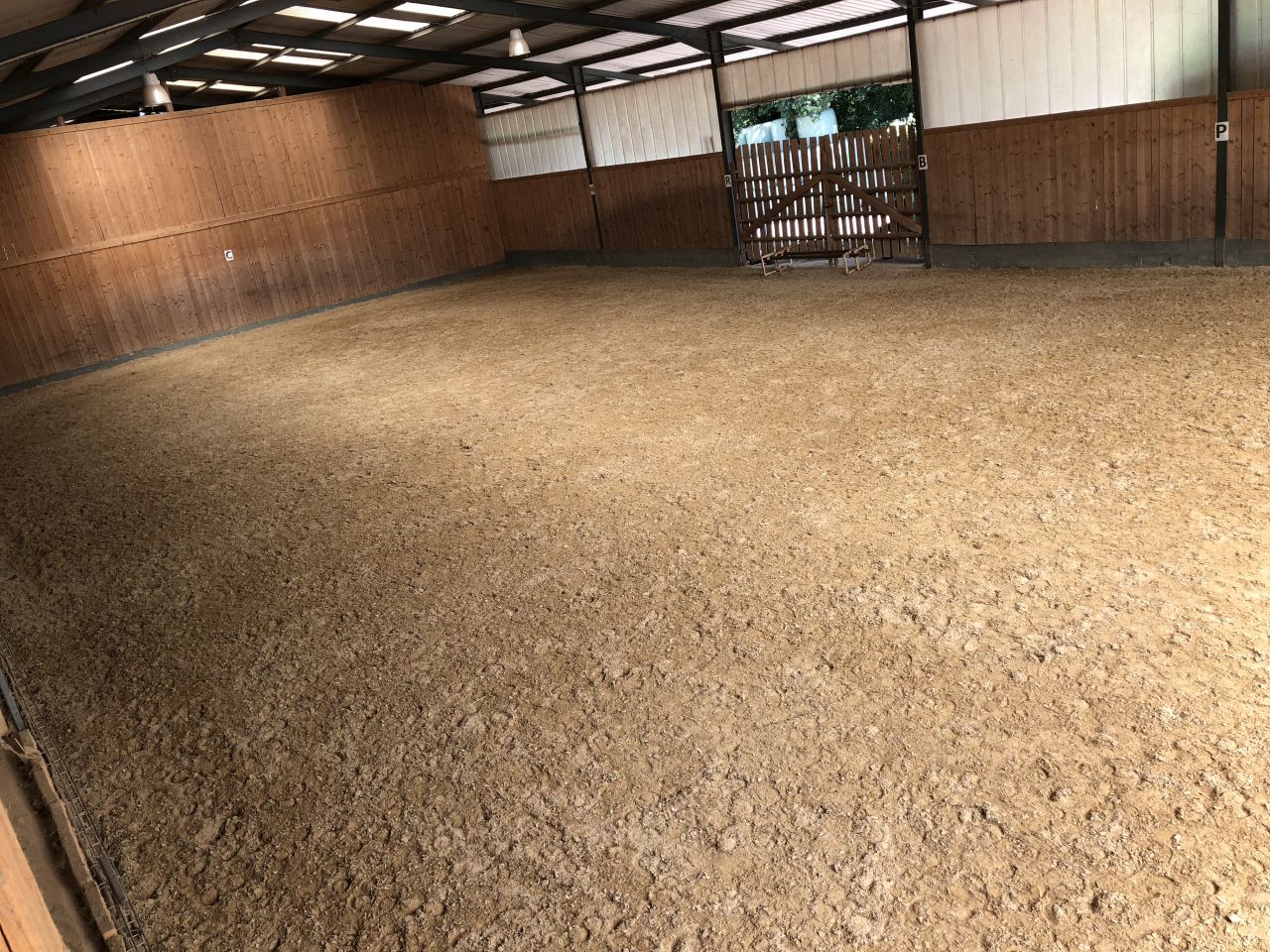 Pension pour chevaux dans le JURA à Balaiseaux