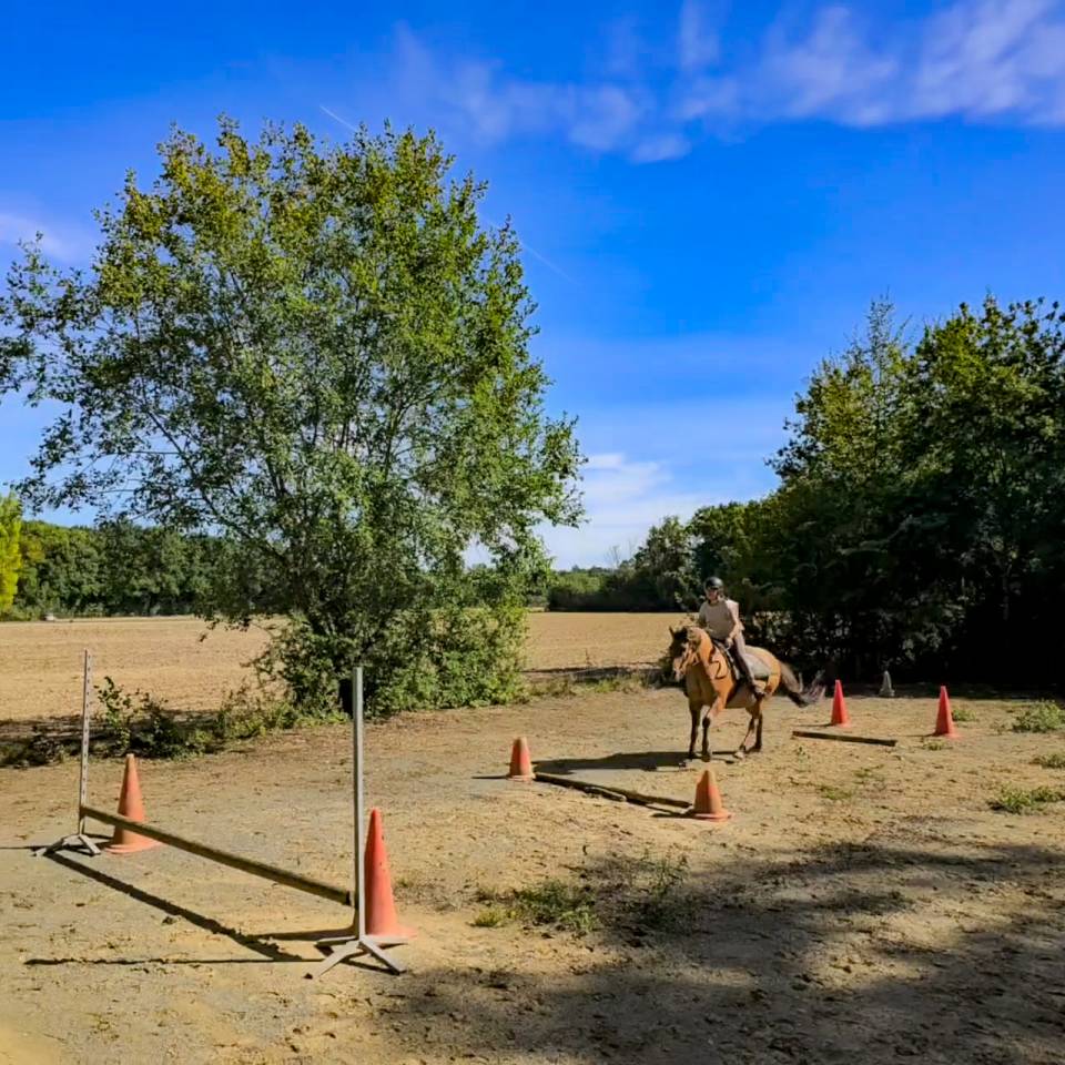 Pension chevaux - Association la randonn&eacute;e (77)