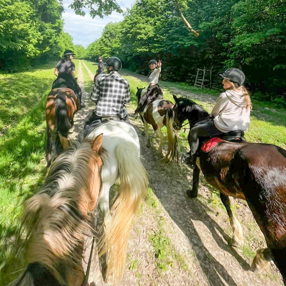 Pension chevaux - Association la randonn&eacute;e (77)
