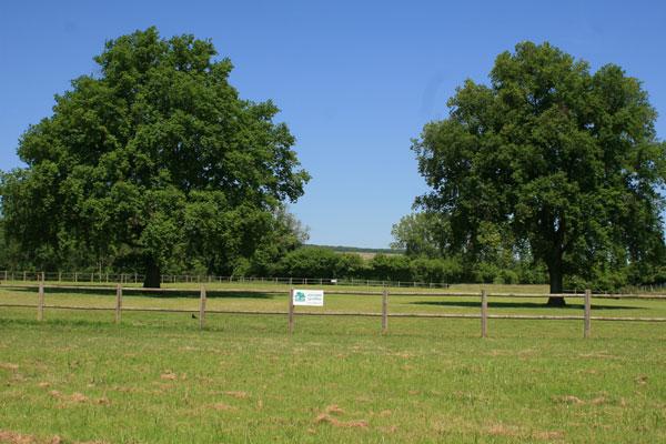 Ecurie de propriétaires Domaine des Deux Chênes