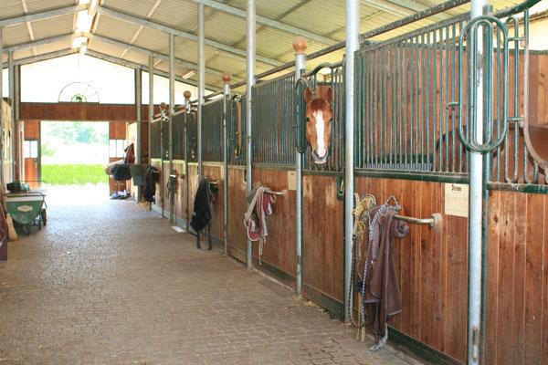 Ecurie de propriétaires Domaine des Deux Chênes