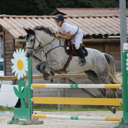 Ecurie Bastide de Castel - Thera Animalis