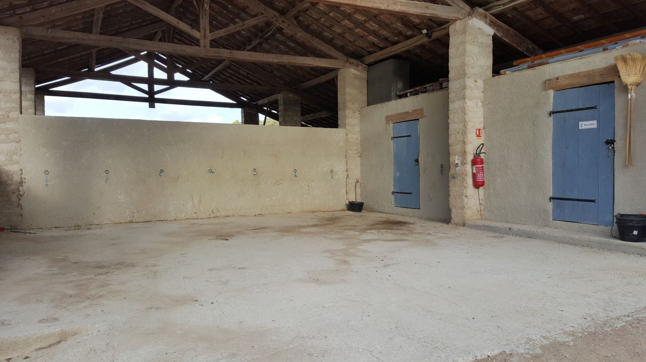 Ecurie Bastide de Castel - Thera Animalis