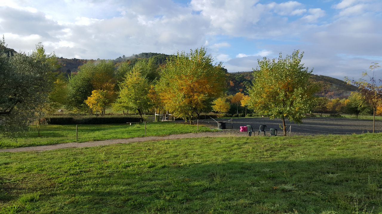 Ecurie Bastide de Castel - Thera Animalis