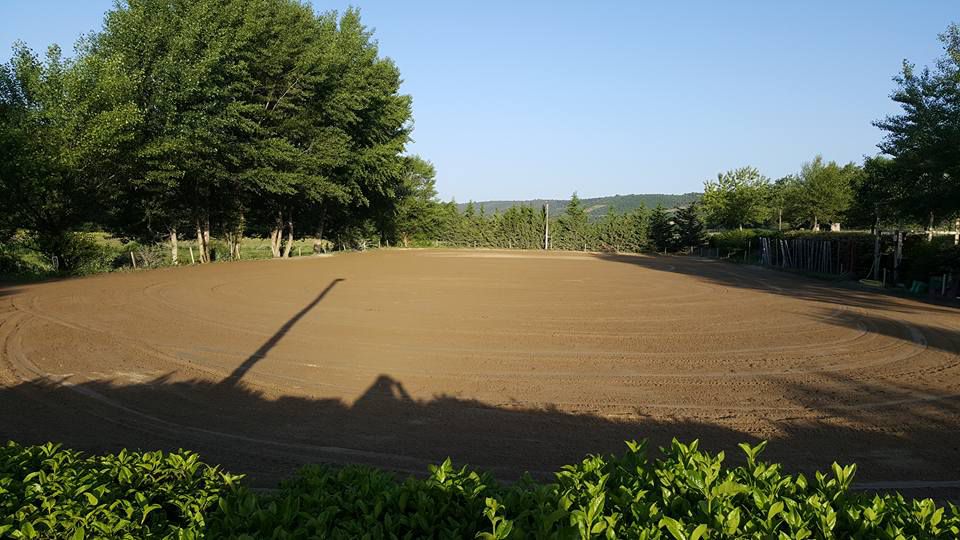 Ecurie Bastide de Castel - Thera Animalis