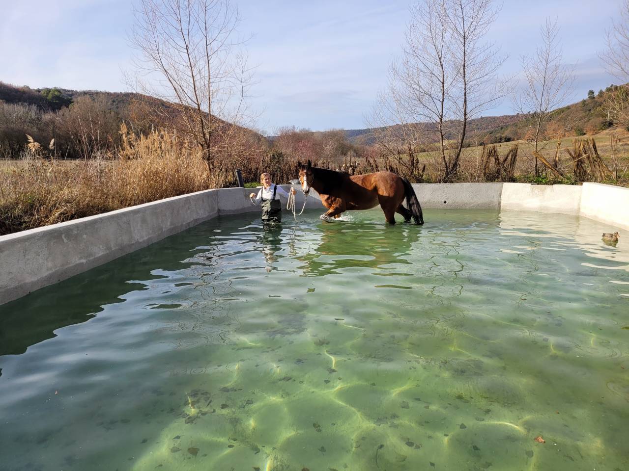 Ecurie Bastide de Castel - Thera Animalis