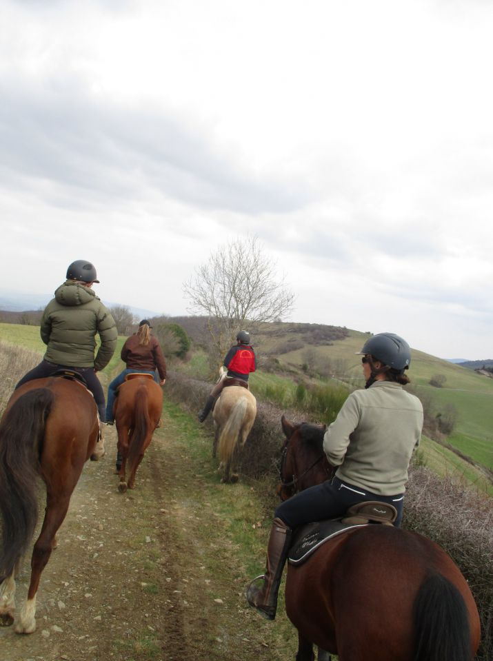 ANCY - ECURIE DE PROPRIETAIRE
