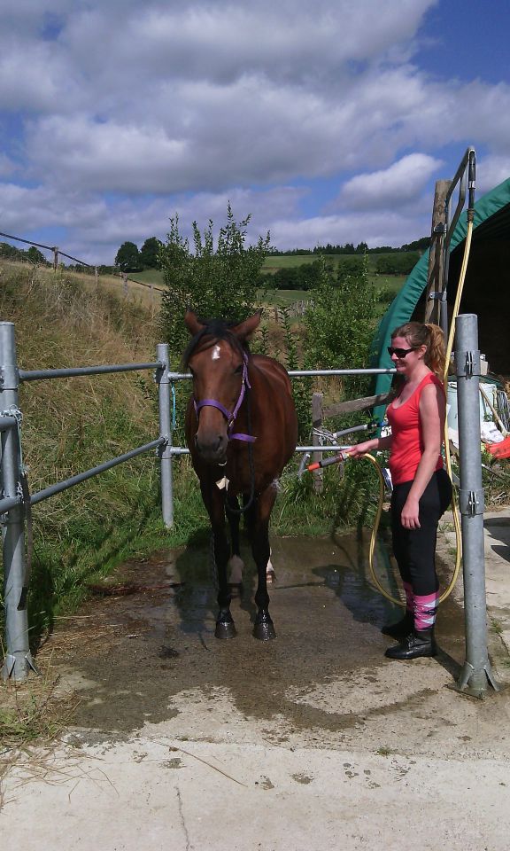 ANCY - ECURIE DE PROPRIETAIRE