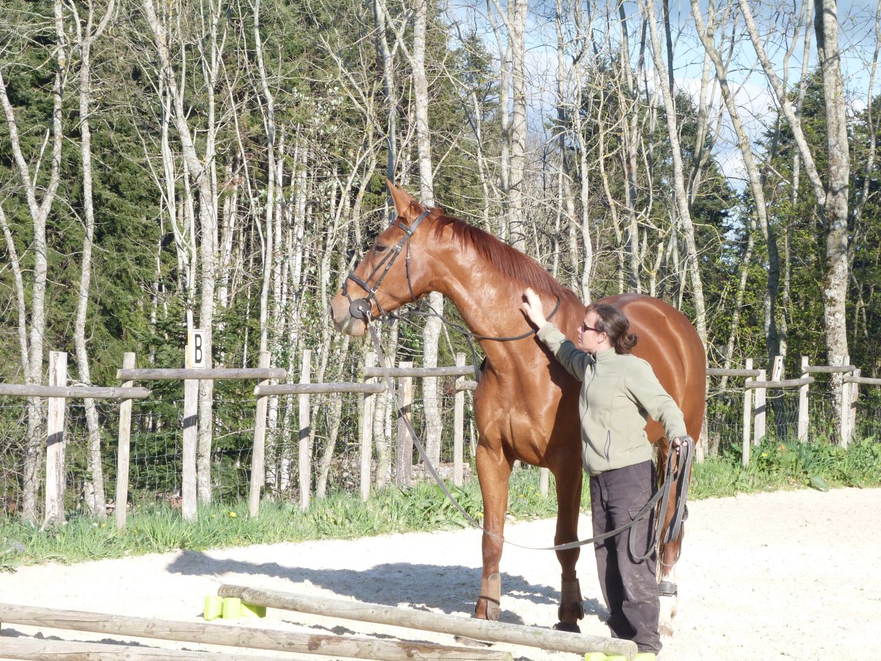ANCY - ECURIE DE PROPRIETAIRE