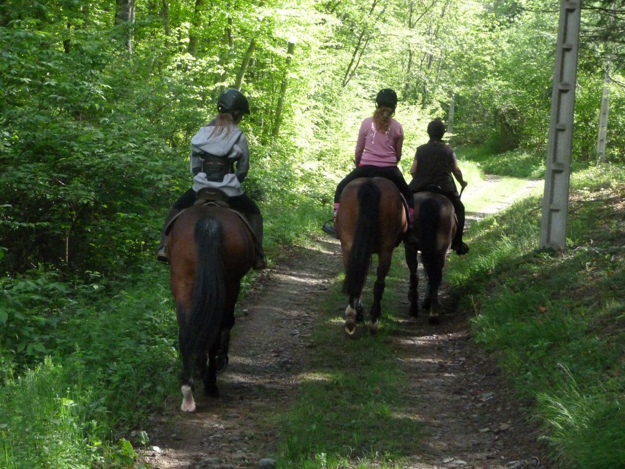 ANCY - ECURIE DE PROPRIETAIRE