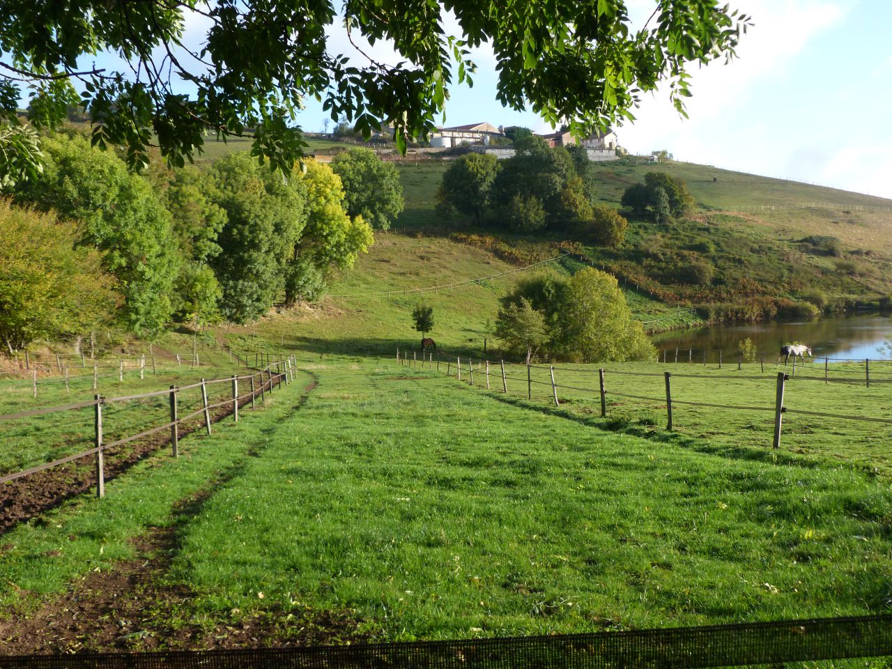 ANCY - ECURIE DE PROPRIETAIRE