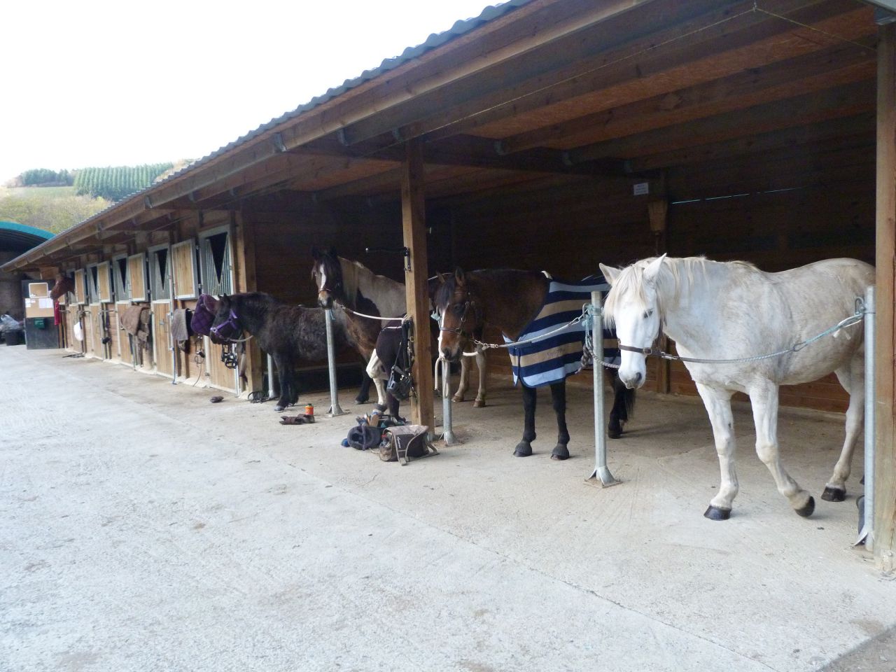 ANCY - ECURIE DE PROPRIETAIRE