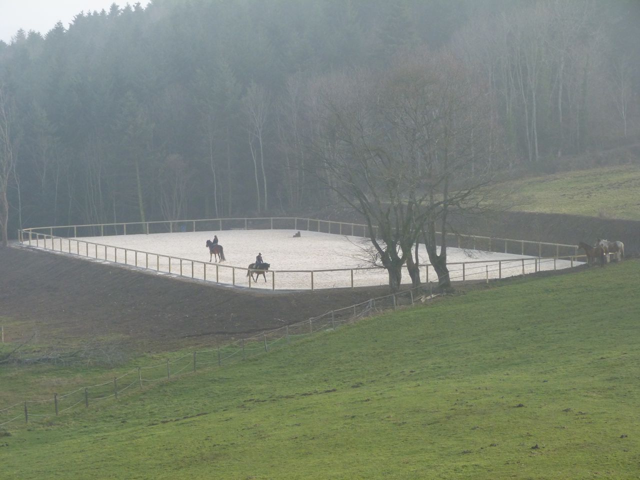 ANCY - ECURIE DE PROPRIETAIRE
