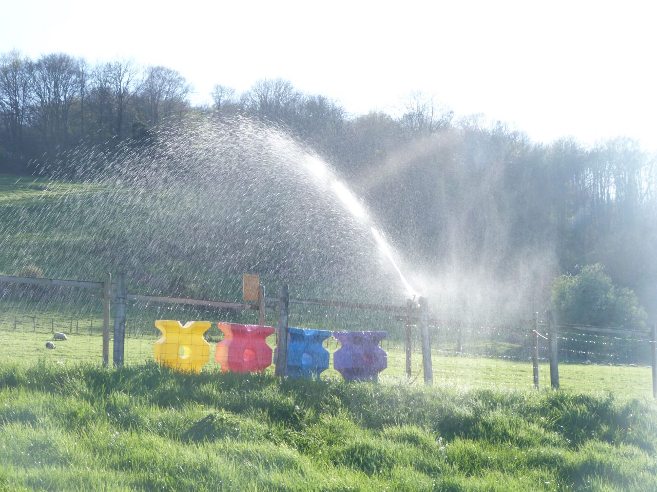 ANCY - ECURIE DE PROPRIETAIRE