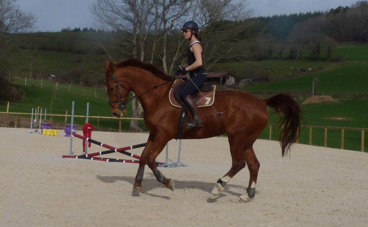 ANCY - ECURIE DE PROPRIETAIRE