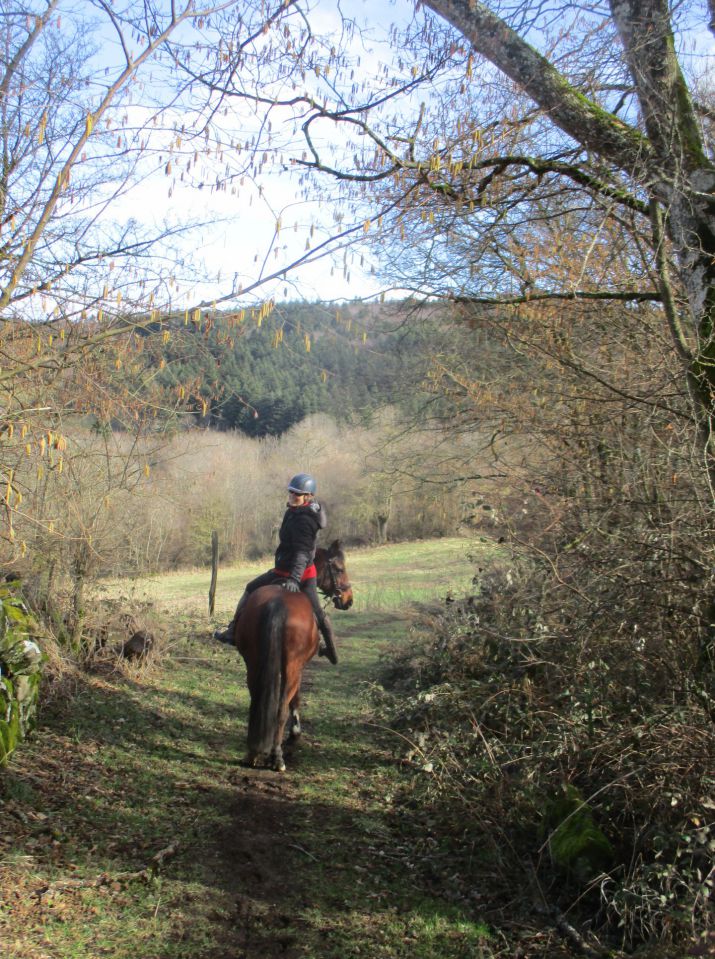 ANCY - ECURIE DE PROPRIETAIRE