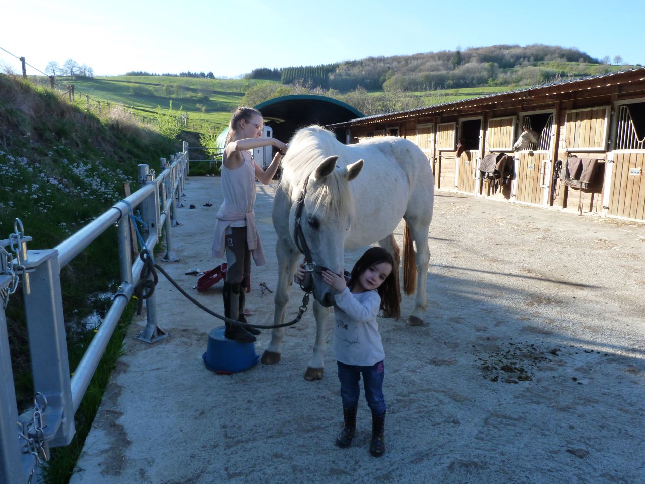ANCY - ECURIE DE PROPRIETAIRE