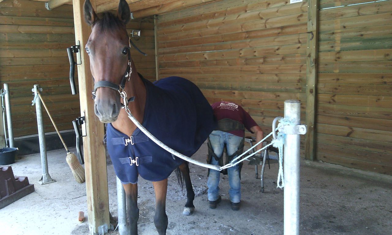 ANCY - ECURIE DE PROPRIETAIRE