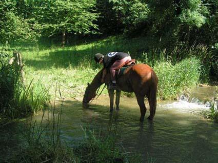 Pension au Pr&eacute; ou en Pr&eacute;/box