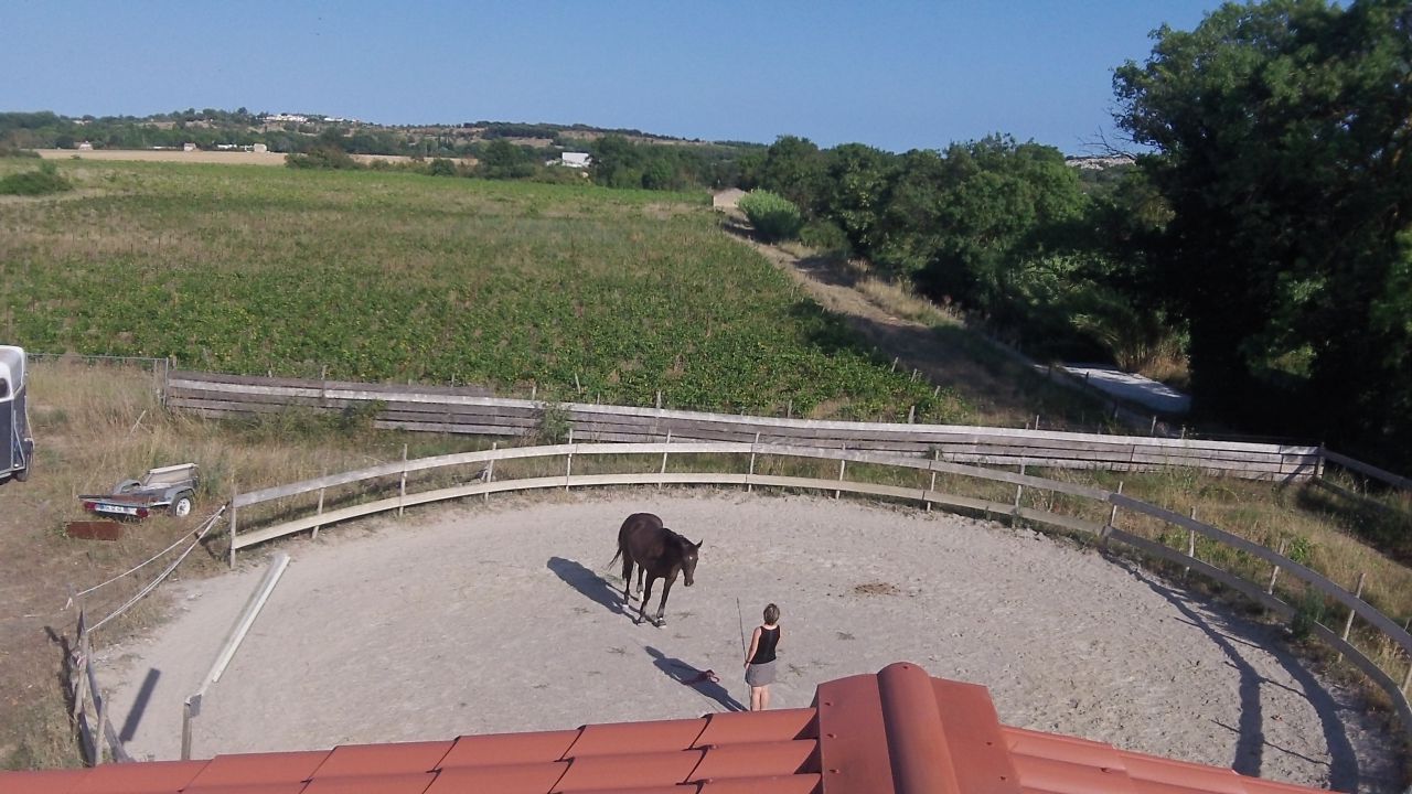 PENSION MONTPELLIER  Loisir et COMPETITION (Dress /Cso)