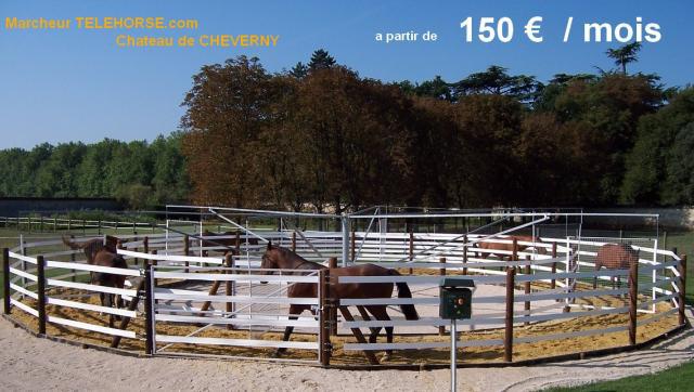 TELEHORSE.COM - MARCHEURS CHEVAUX