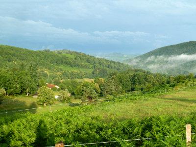 Ferme Equestre de Tréphy - éthologie équitation western