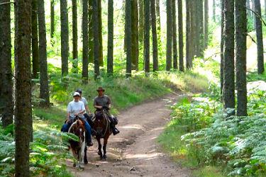 Ferme Equestre de Tréphy - éthologie équitation western