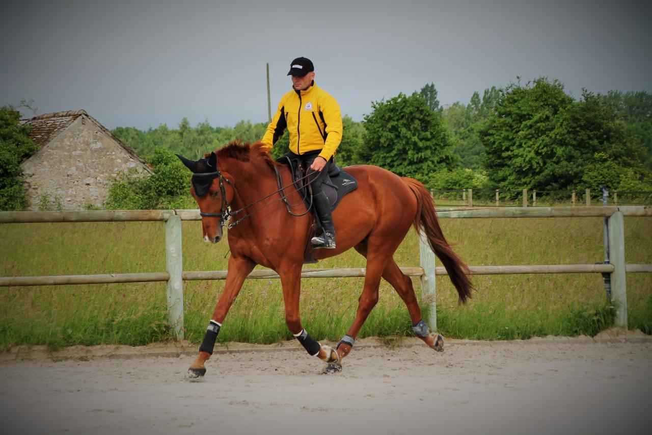 Moniteur et Cavalier  Florian SUARD