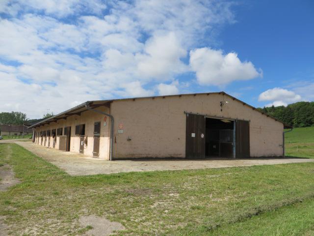 215761_1468827208.jpg