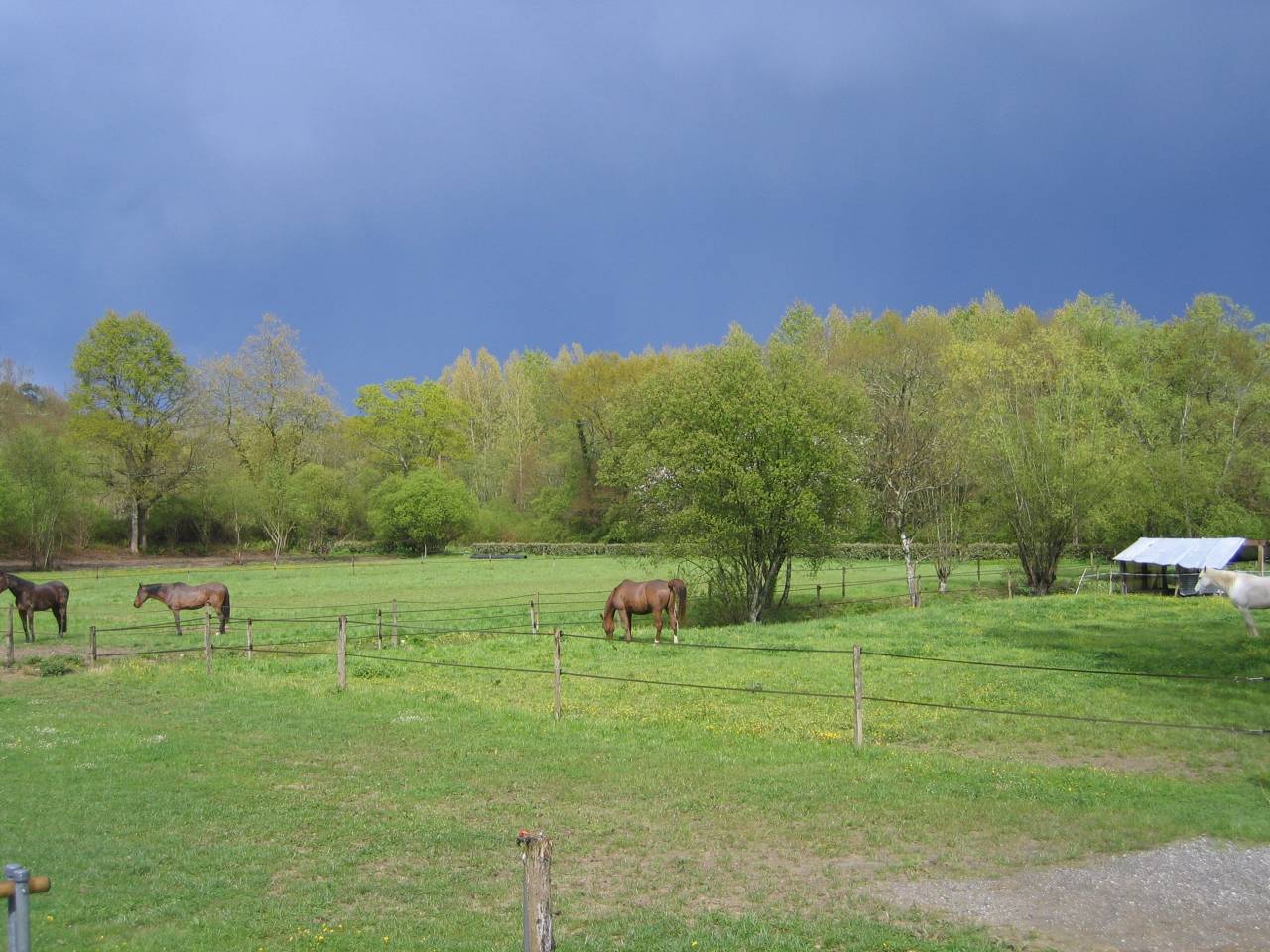 Pensions pr&eacute;, pr&eacute; / box    Sud des Landes (40)