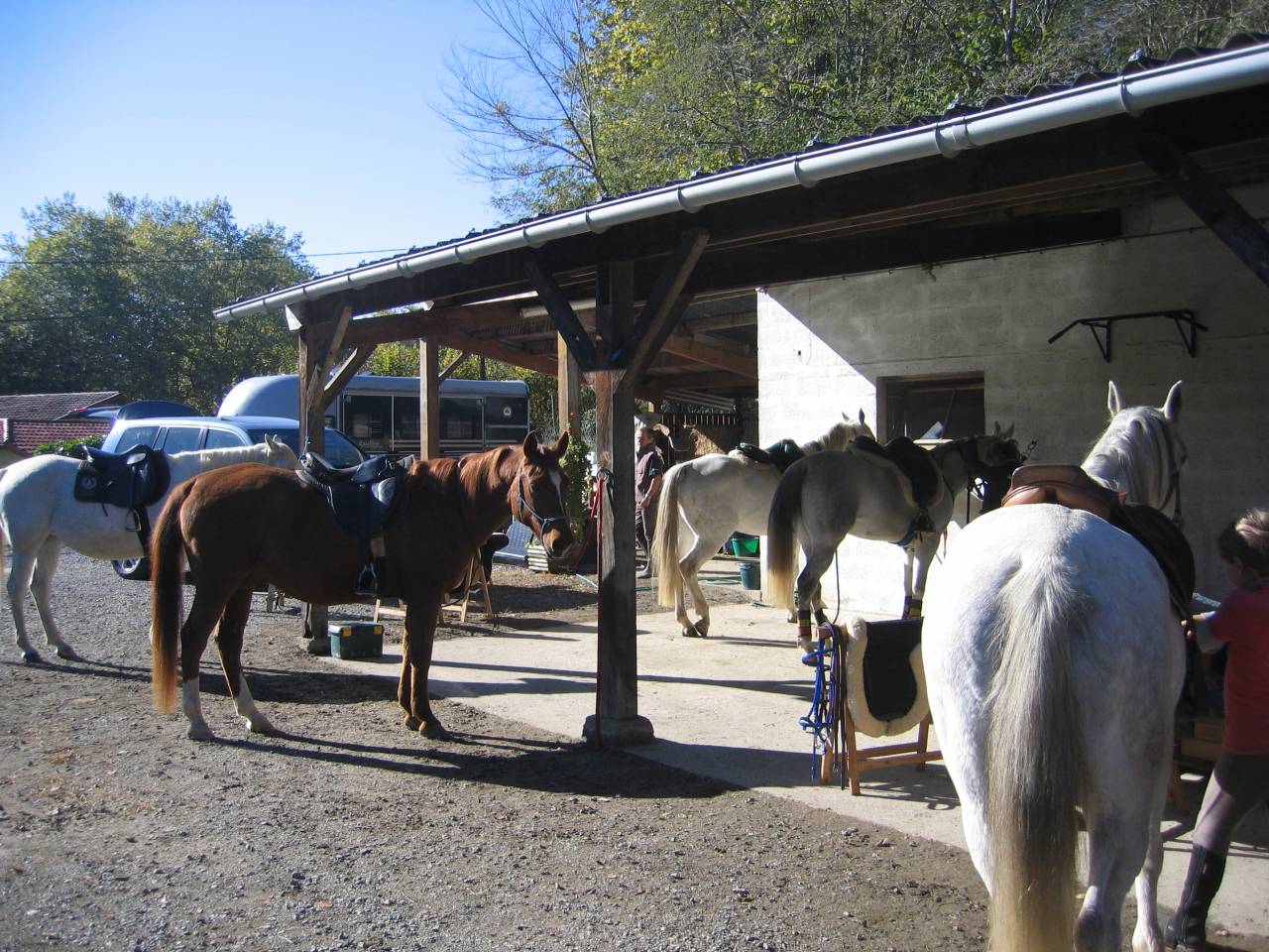 Pensions pr&eacute;, pr&eacute; / box    Sud des Landes (40)