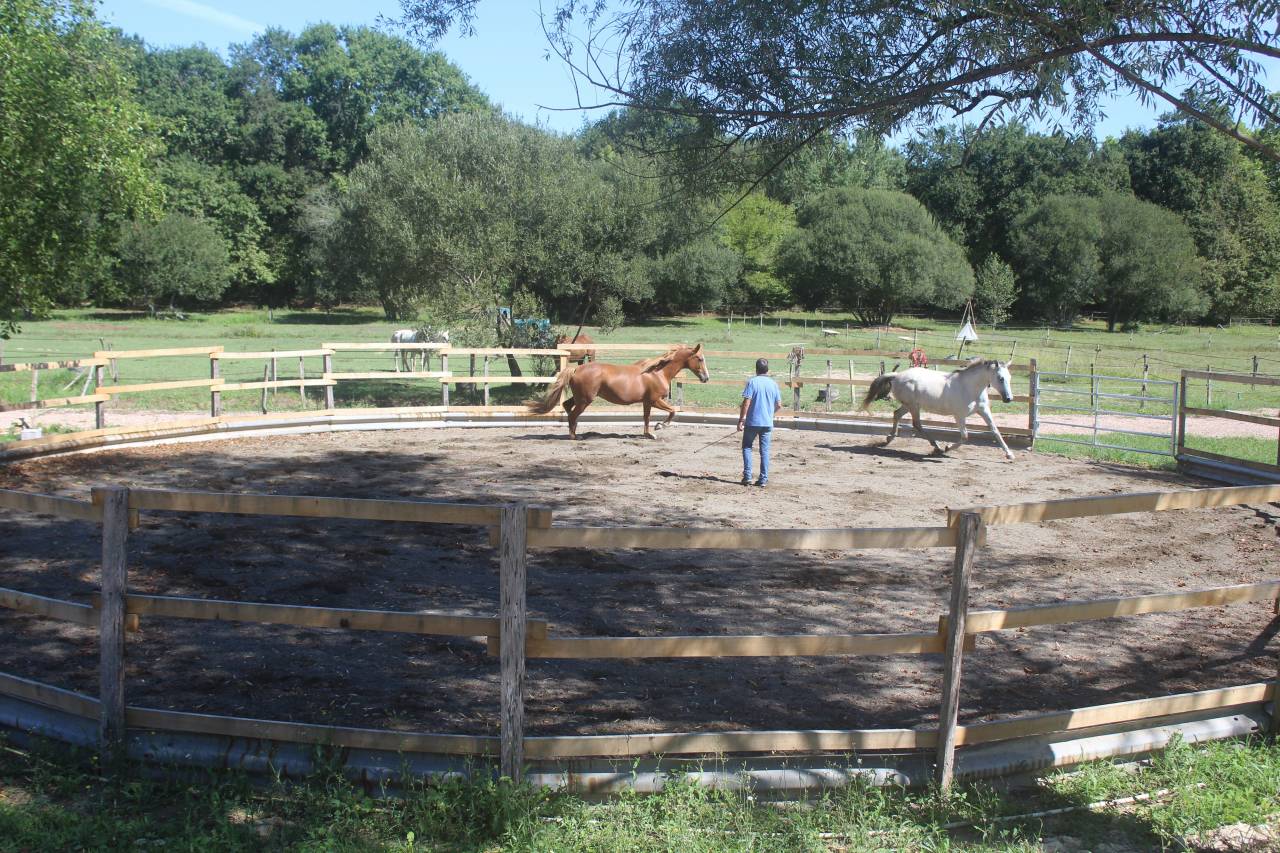 Pensions pr&eacute;, pr&eacute; / box    Sud des Landes (40)