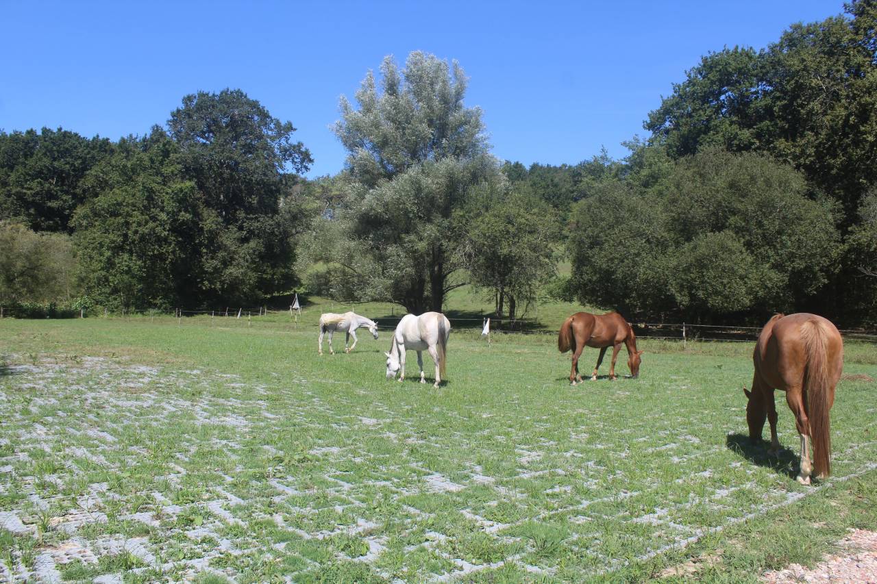 Pensions pr&eacute;, pr&eacute; / box    Sud des Landes (40)