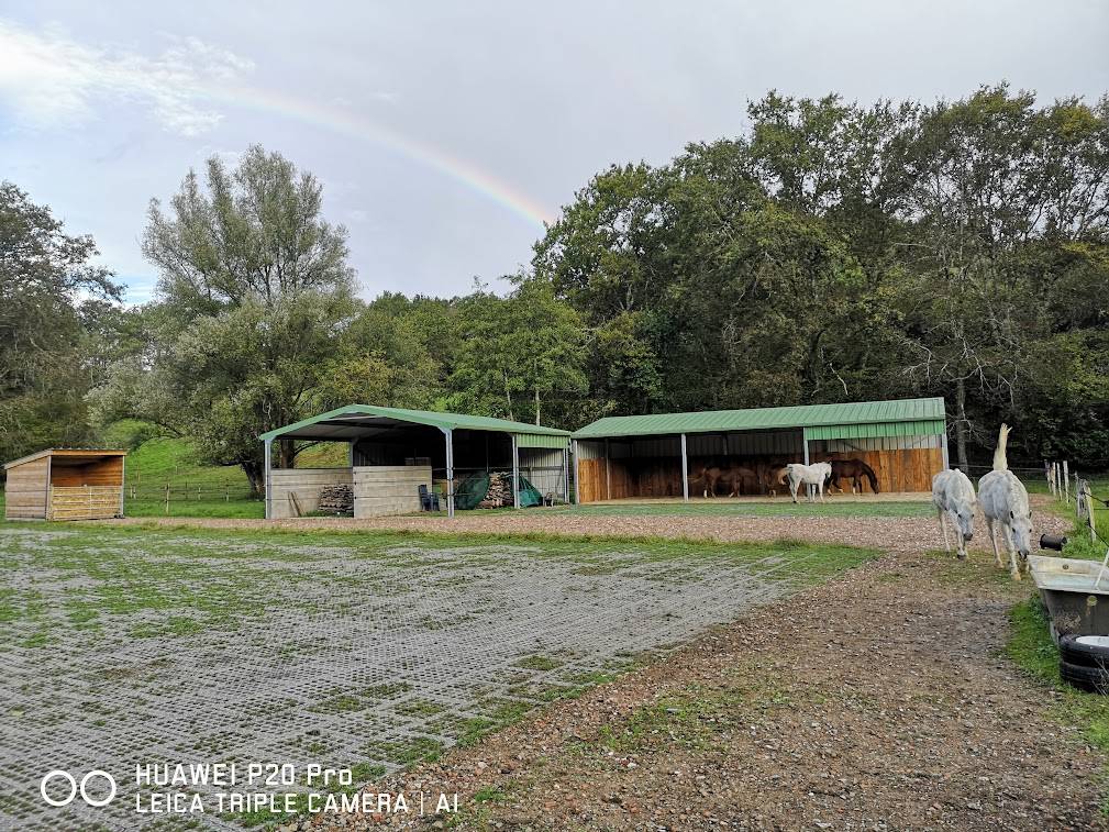 Pensions pr&eacute;, pr&eacute; / box    Sud des Landes (40)