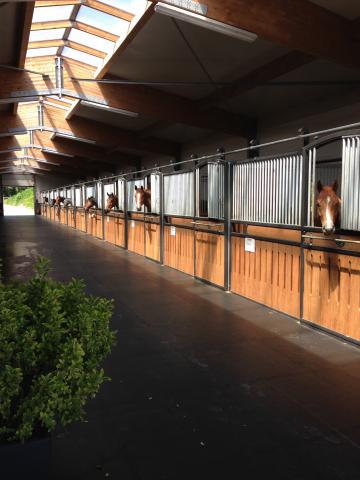 HARAS DU SOULTZBACH / PENSION SIMPLE / PENSION TRAVAIL 