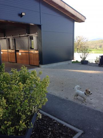 HARAS DU SOULTZBACH / PENSION SIMPLE / PENSION TRAVAIL 